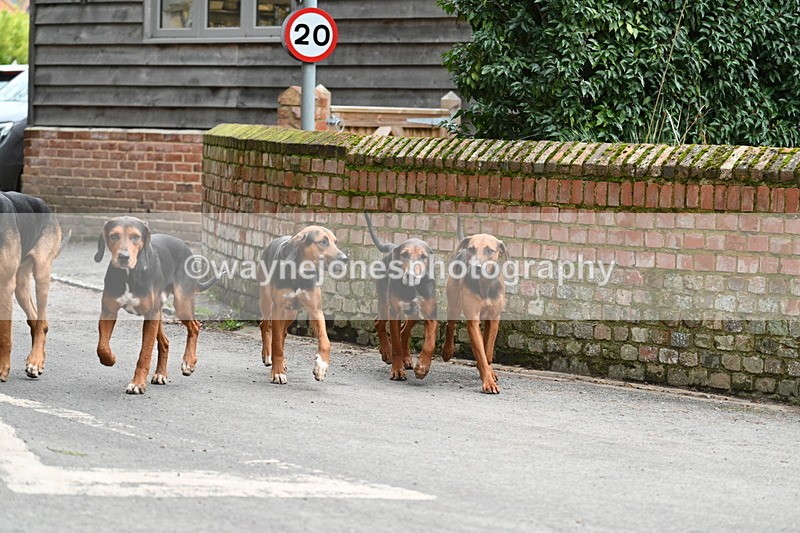 WJ7_1031 - Pub Corner