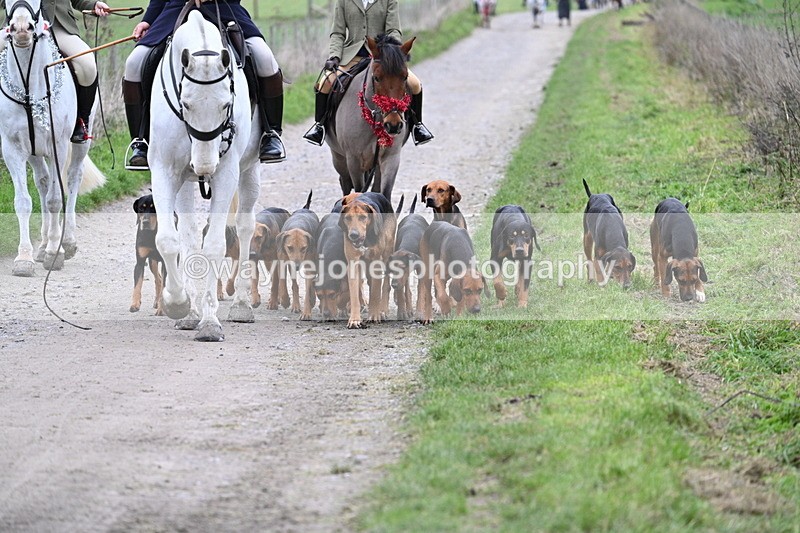 WJ7_1209 - Walk Home