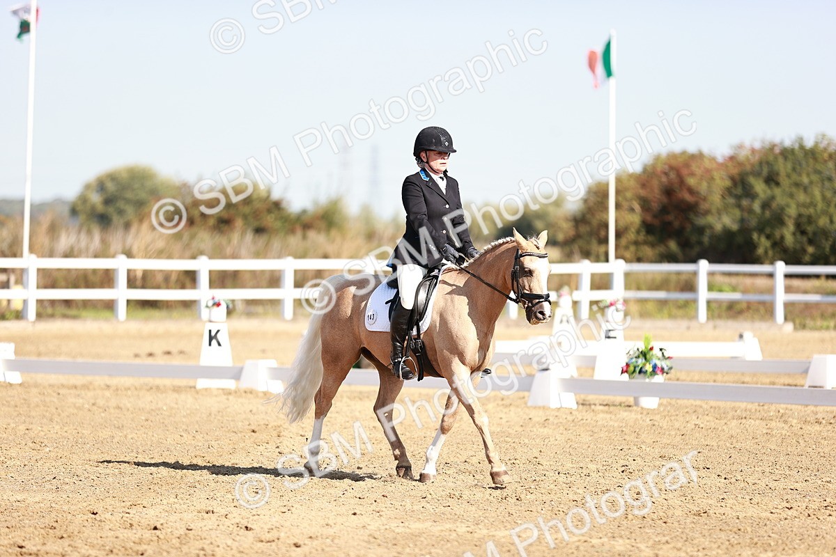 SBM_004361 - Class 12 - Novice 5 - 9.07-10.10