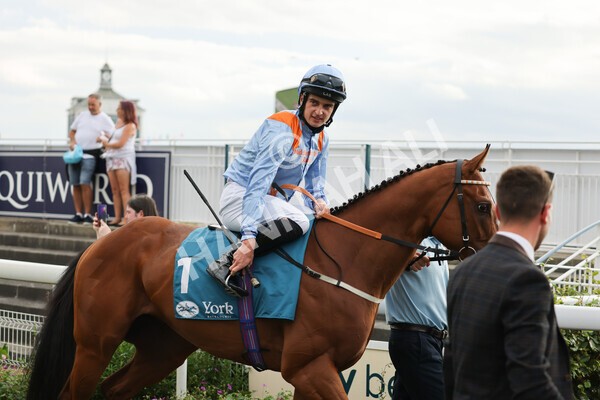 yr04092022r7-17 - Race 7 5.15pm Firmament Stakes