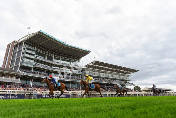 230923-Race 1-Invincible Molly-3137 - Race 1 2.00pm Jigsaw Sports Branding EBF Fillies' Novice Stakes