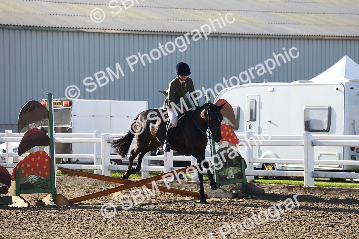 SBM_07893 - Class 501 - Riding Club Pony