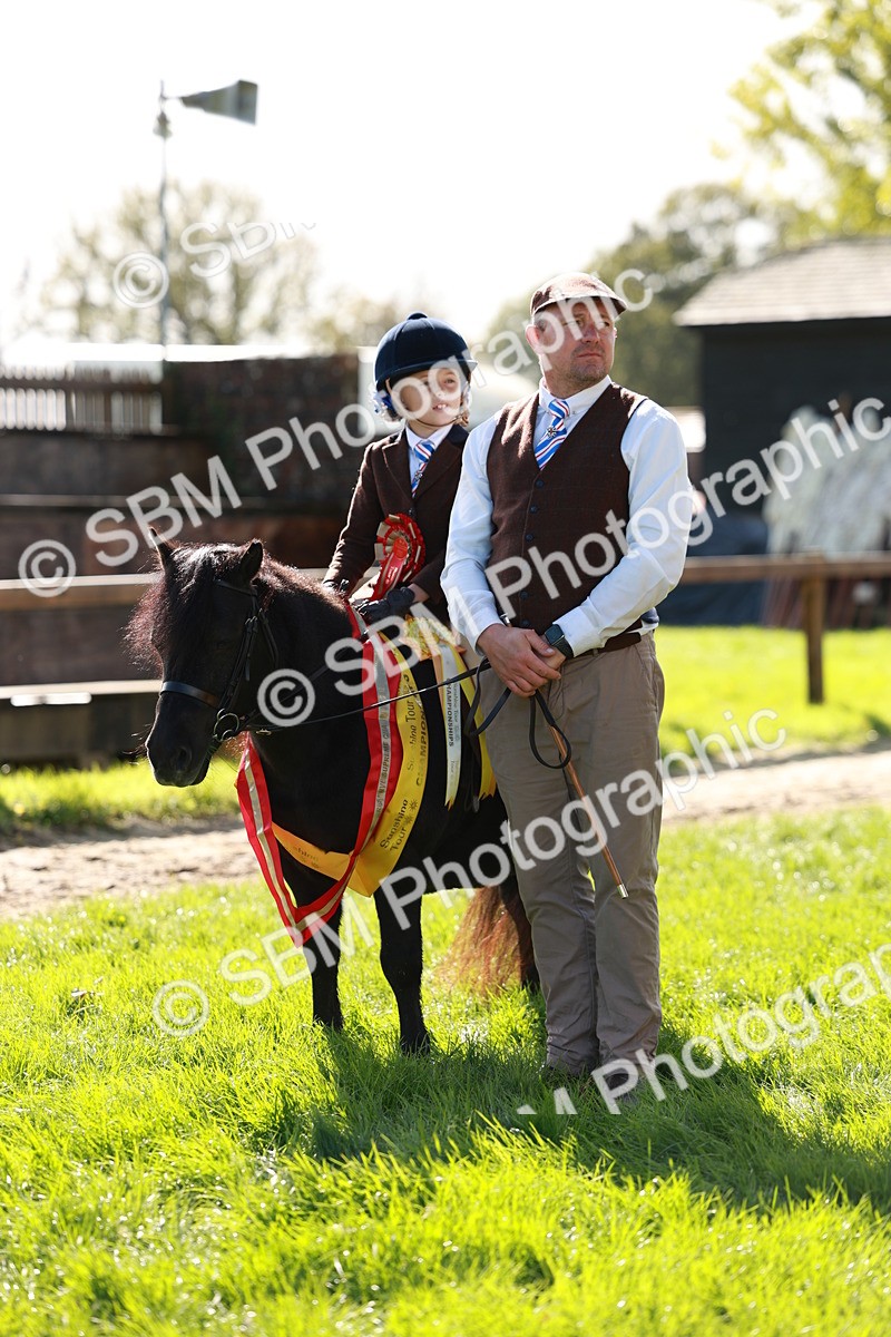 SBM_42169 - S32 - Mountain & Moorland Working Hunter Pony
