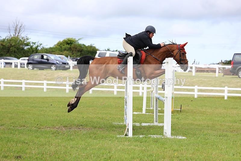3E7A7729 - Class 13: Senior British Novice/90cm open