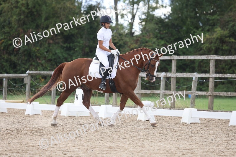 20260923-0479 - Class 7 - Novice 2
