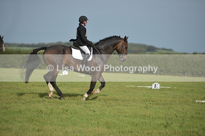 RAY_7989 - Class 2B: Trekenning Open: Dressage