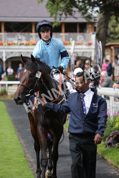 yr18082021r2-36 - Race 2 2.25pm Tattersalls Acomb Stakes