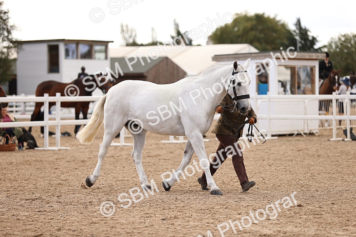 SBM_10381 - Class 405 - IH Show Cob