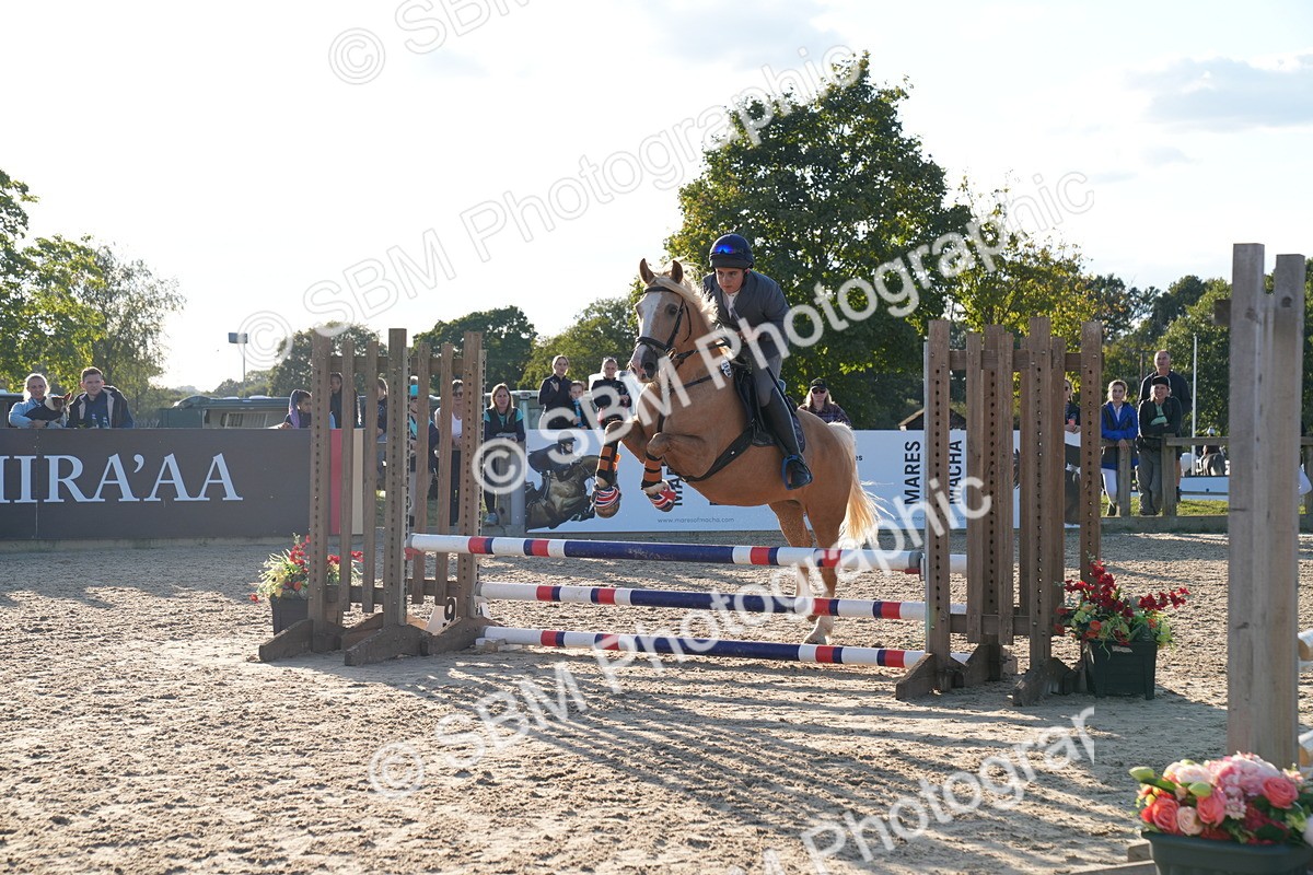 SBM_30008 - J44 - Super Speedy Scurry Open - 70cm