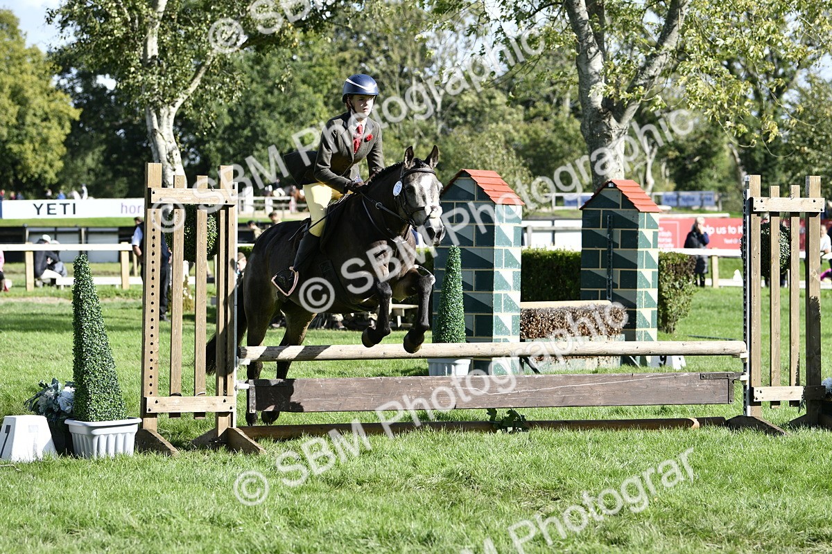 SBM_49990 - S34 - Novice & Newcomers Working Hunter