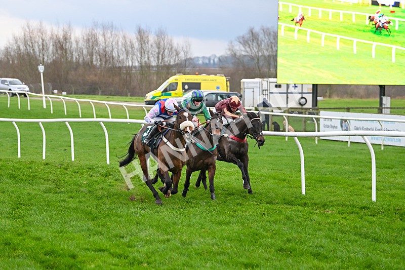 171224-Race 5-Wrappedinrubies-3435 - Race 5