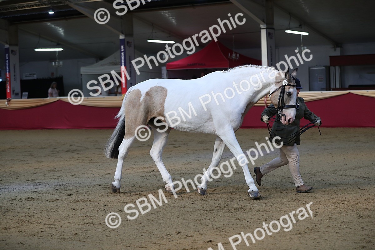SBM_01339 - Class 3a Area IH Pre Vet