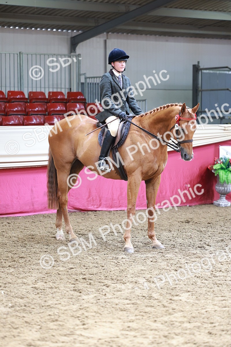 SBM_14967 - Class 108 - Ridden Retired Racehorse