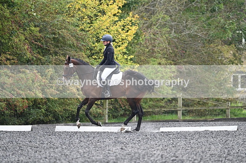 WJ7_3853 - Time 11:04 to 11:38