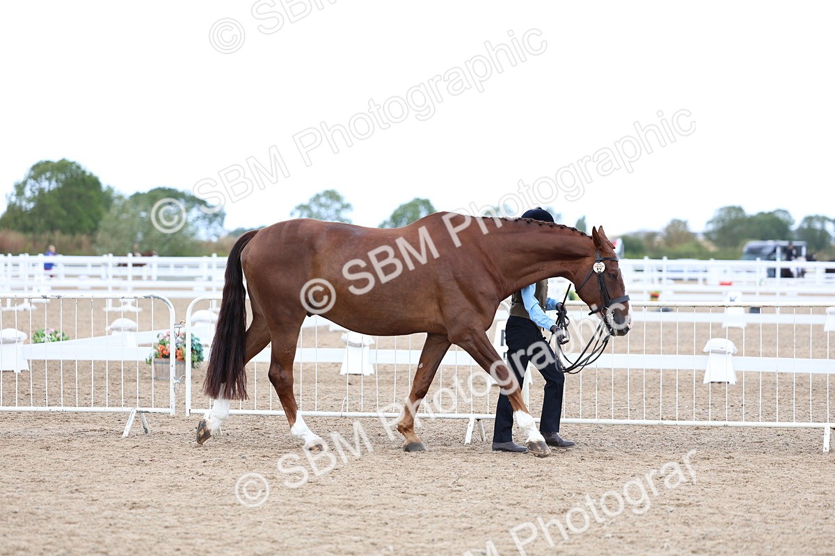 SBM_04994 - Class 27 - IH Competition Horse or Pony