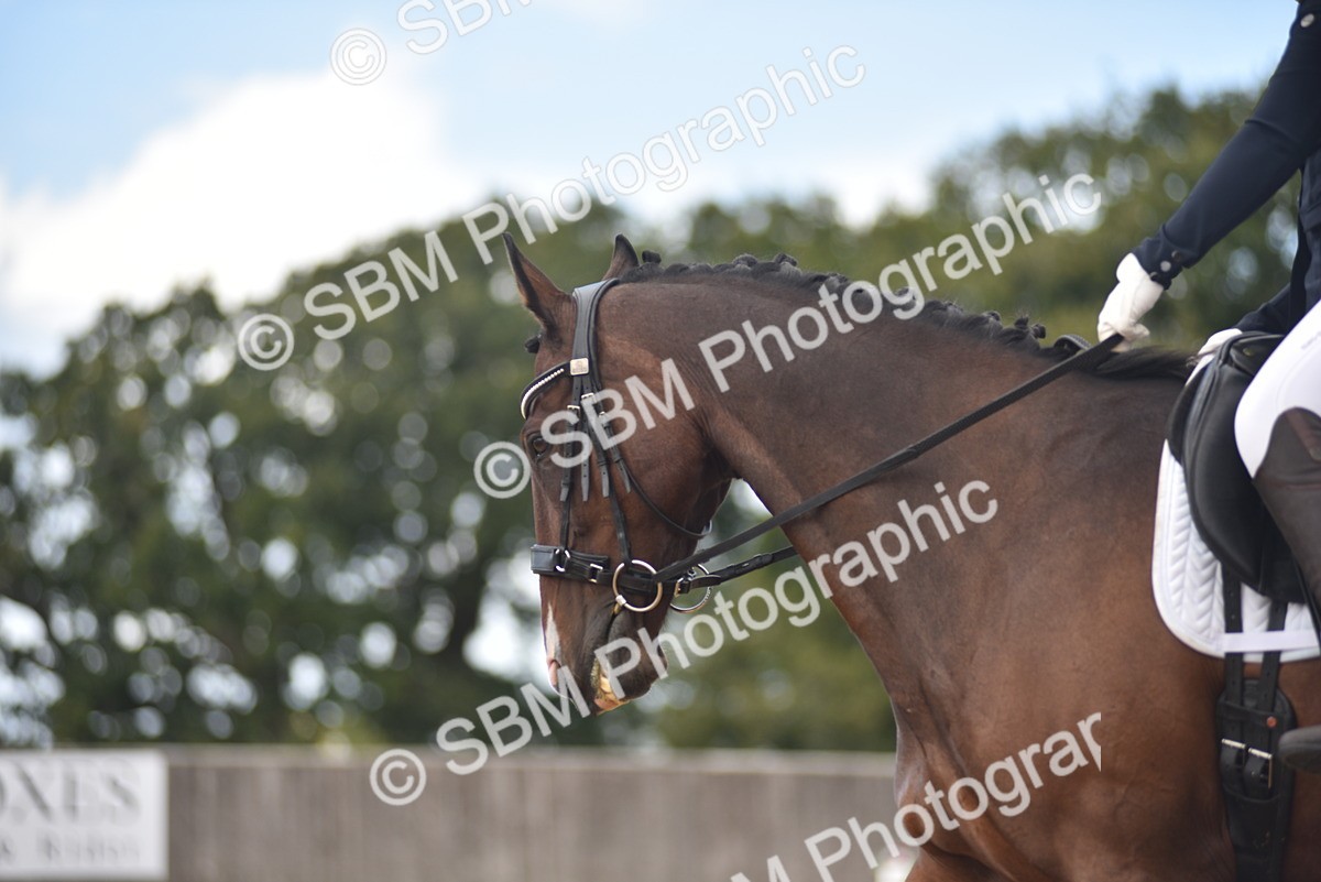 SBM_22460 - D13 - Grand Tour Championship Prelim 3