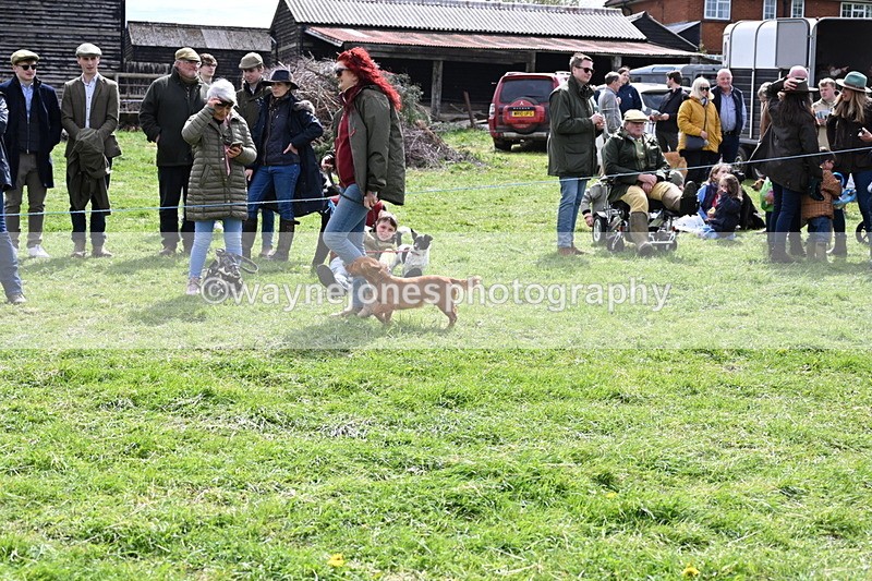 WJ6_8263 - Class 4 Prettiest Bitch