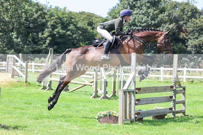 3E7A8916 - Class 6: Open Working Horse