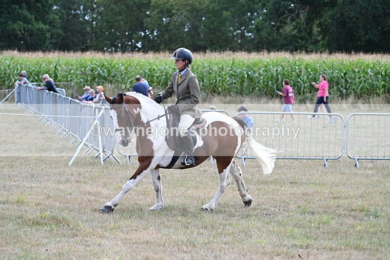 WJ7_6932 - Class 14 Ridden Coloured