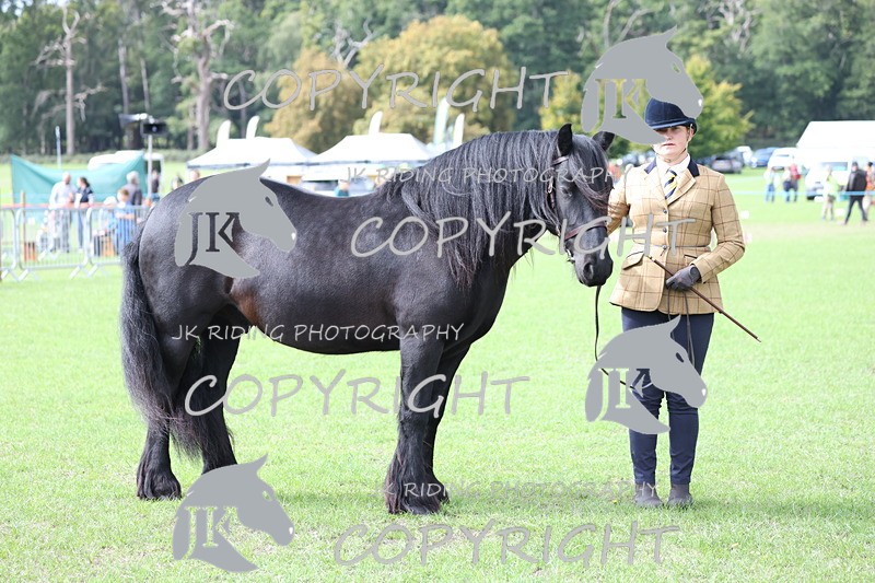 APP_2949 - Class 10a/b M&M in hand