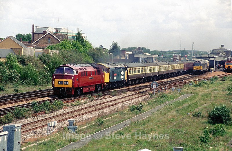 15th May 2010 - Taunton, Somerset