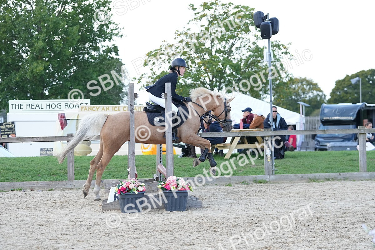 SBM_18086 - J58 - Clear Round 50cm