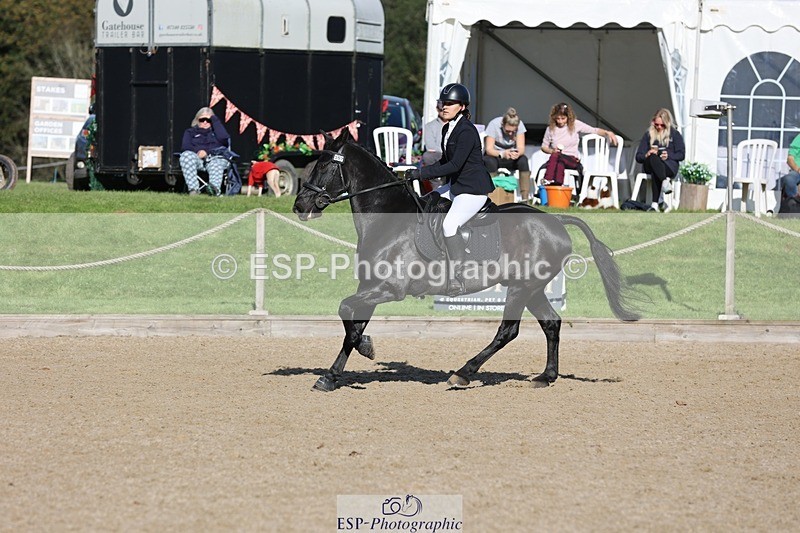 241027-111629-16672 - 357-Eleanor.Newcombe-MR.DARCY