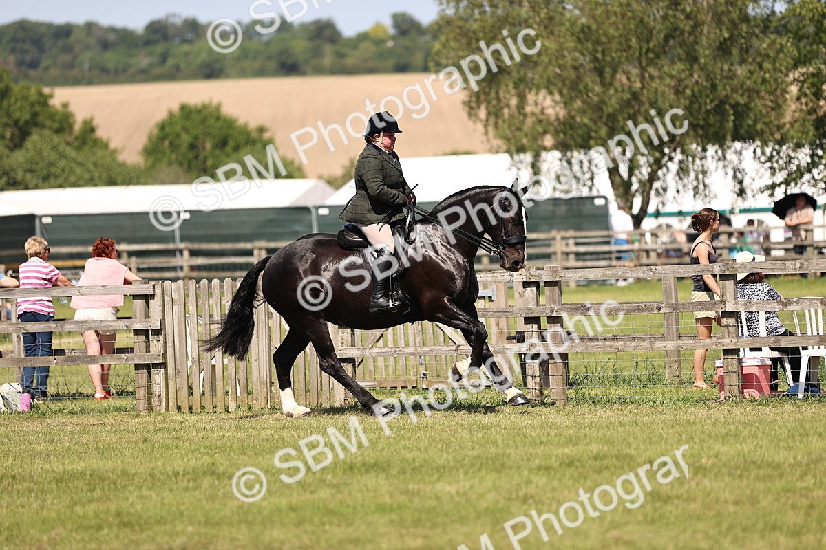 SBM_17906 - Class 81-83 - TSR Ridden Amateur of the Year - Horses