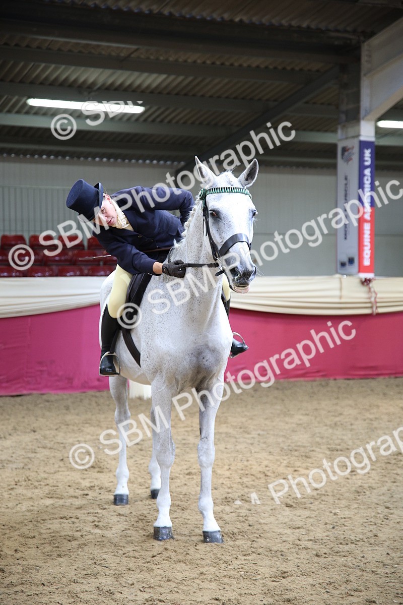 SBM_24239 - Class 905 - Supreme Final - Ridden Veteran