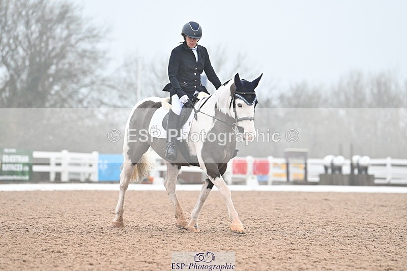 240217A-121124-02141 - 100-Gemma.Pine-Major.IV