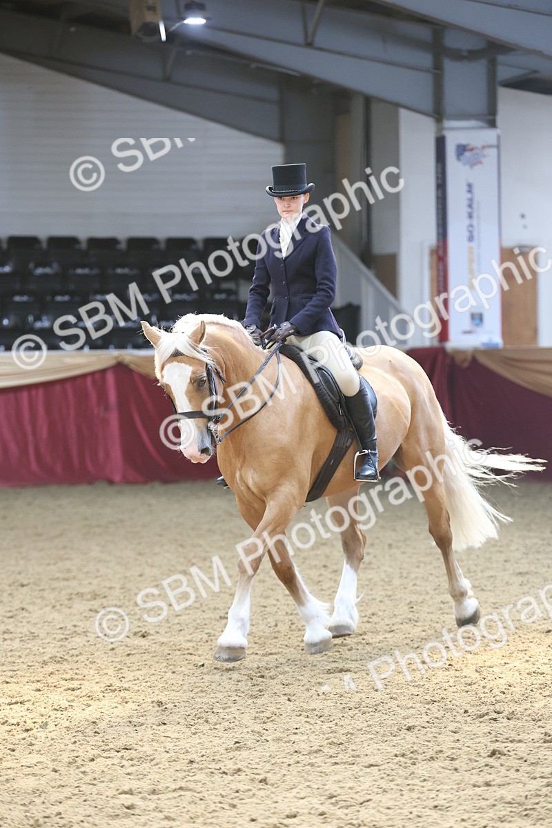 SBM_23779 - class 906 - Supreme Final - Ridden Pre Vet
