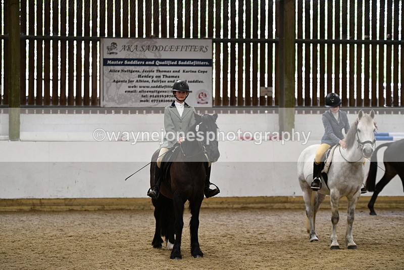 WJ5_8040 - Class 13 Ridden Part Breed