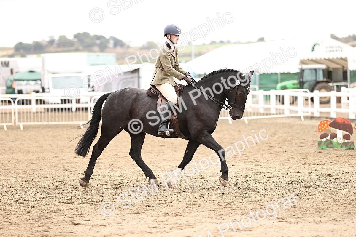 SBM_01387 - Class 54 - Riding Club Horse Pony