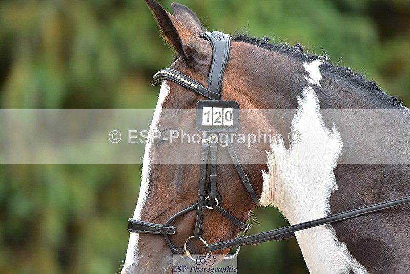 250719A-154848-06988 - 120-Jodie.Stafford-Searle-Shania