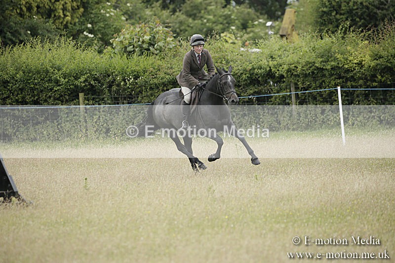 B230619-0739 - Bourne Valley Riding Club Summer Show 23/06/19