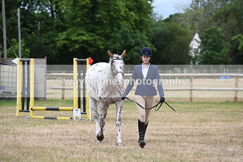 WJ6_4283 - Class 10 Coloured In-hand