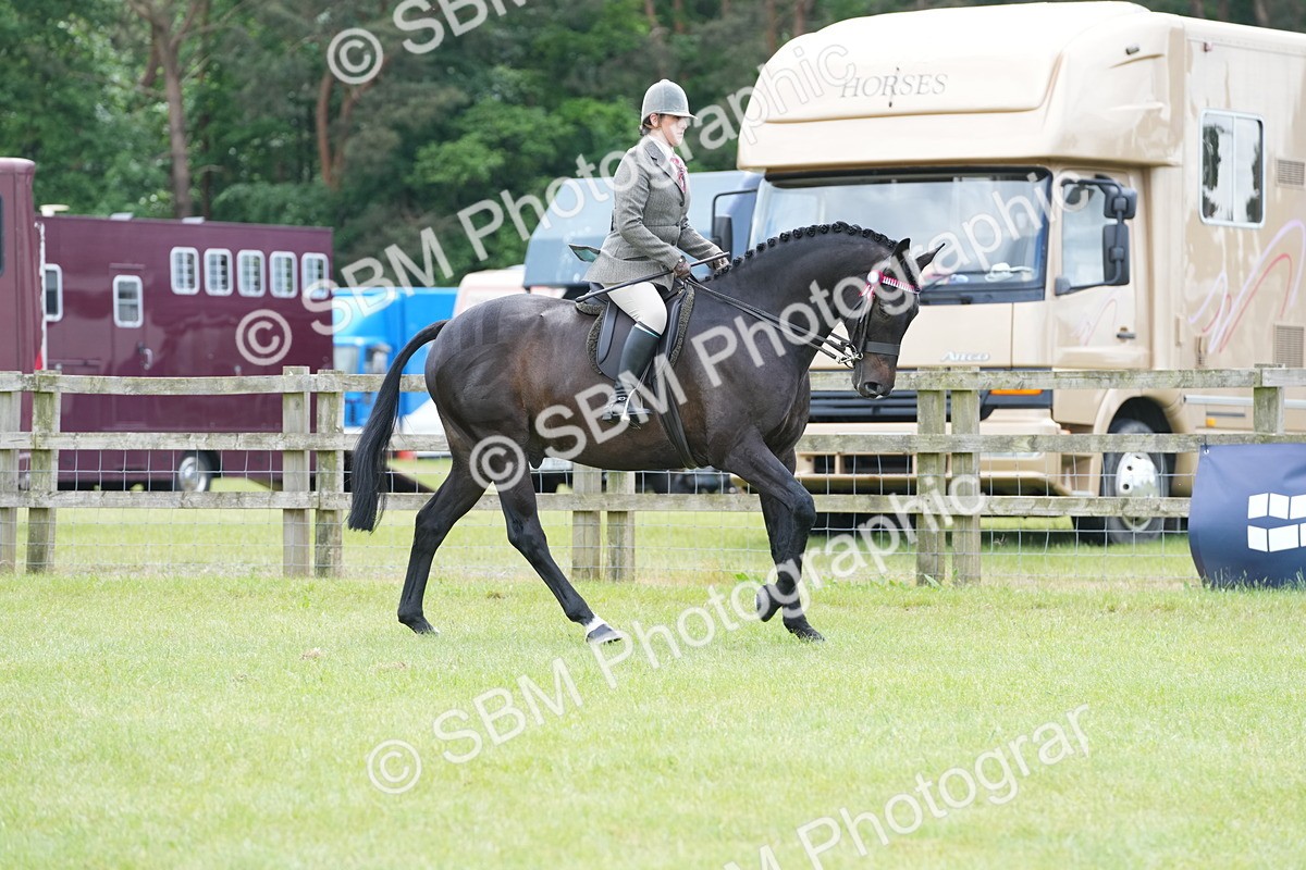 SBM_16158 - Class 105-106 - RIHS Riding Horses