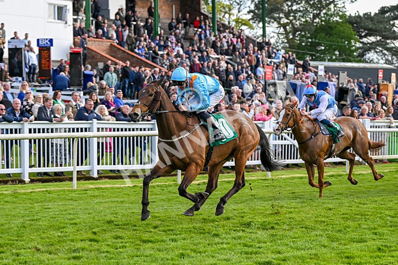 200424-Race 5-Cold Stare-6936