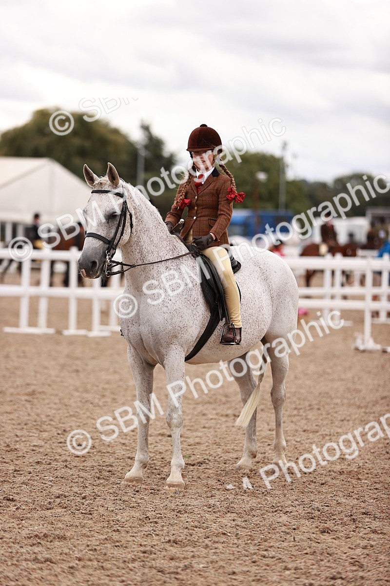 SBM_18581 - Class 421 - Childs Best Friend - Jnr