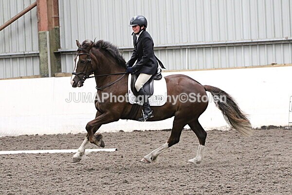 SIAL5050 - CAbin Dressage 5th july 2025