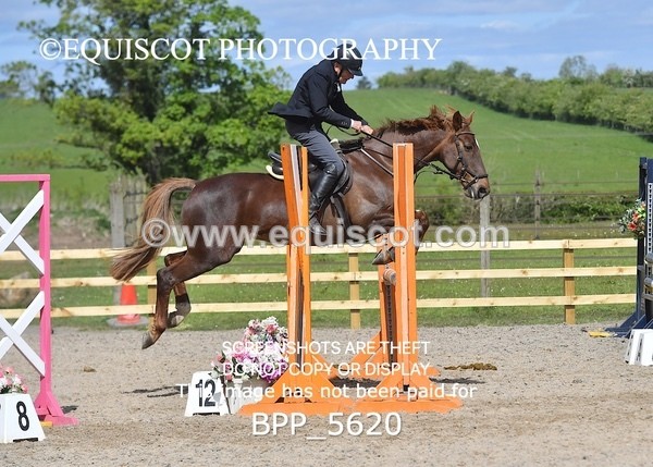 BPP_5620 - CLASS 24 SUN Senior BritiNovice/ 90cm Open