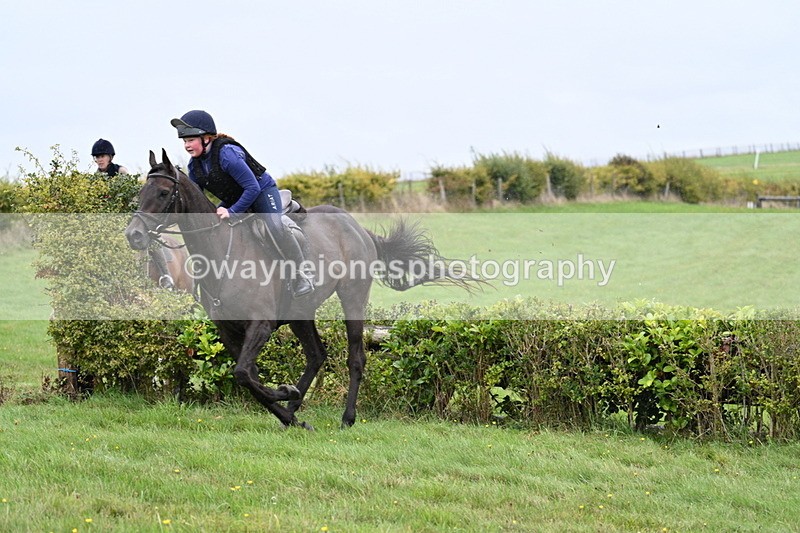 WJ7_9019 - Time 13:31 to 14:00