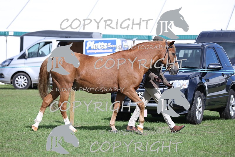 APP_2748 - Class 10a/b M&M in hand