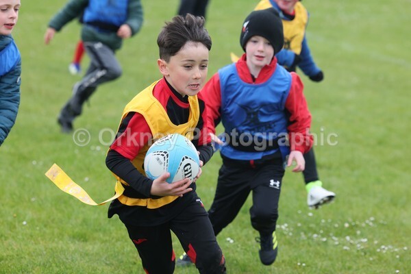 DAD22353 - Rookies/Mini Rugby on 7s Day