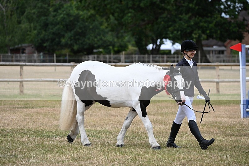 WJ6_4545 - Class 10 Coloured In-hand