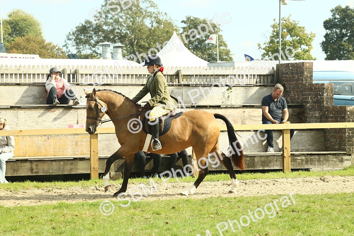 SBM_68877 - S58 - Mini Show Cob Ridden