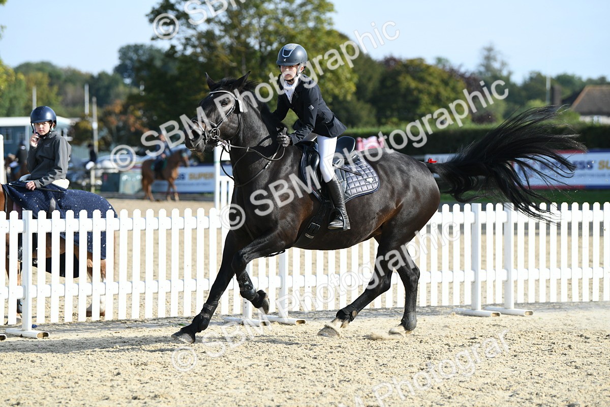 SBM_60547 - j25 - Junior Horse 80cm Championship