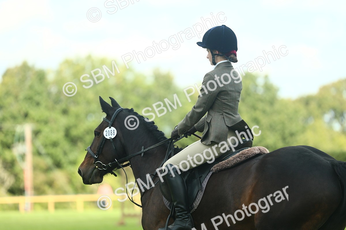 SBM_42049 - S29 - Novice & Newcomers Working Hunter Pony