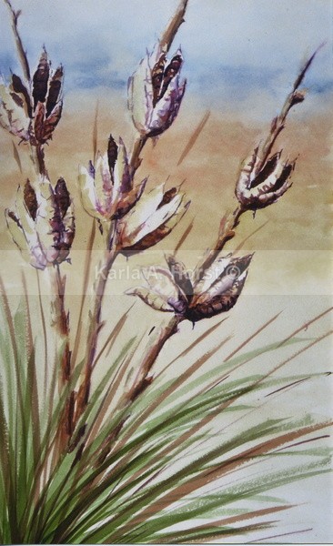 Yucca - Original Art