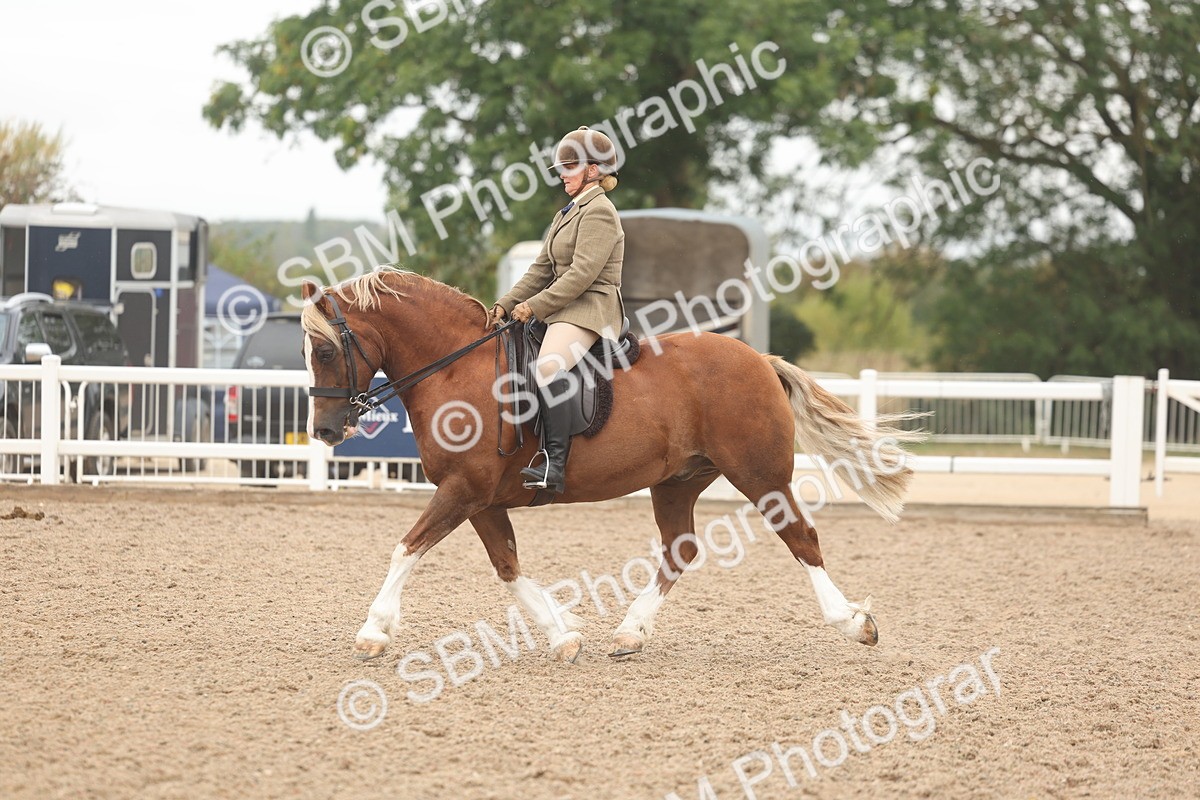 SBM_01914 - Class 14 - Ridden M&M Wildcard